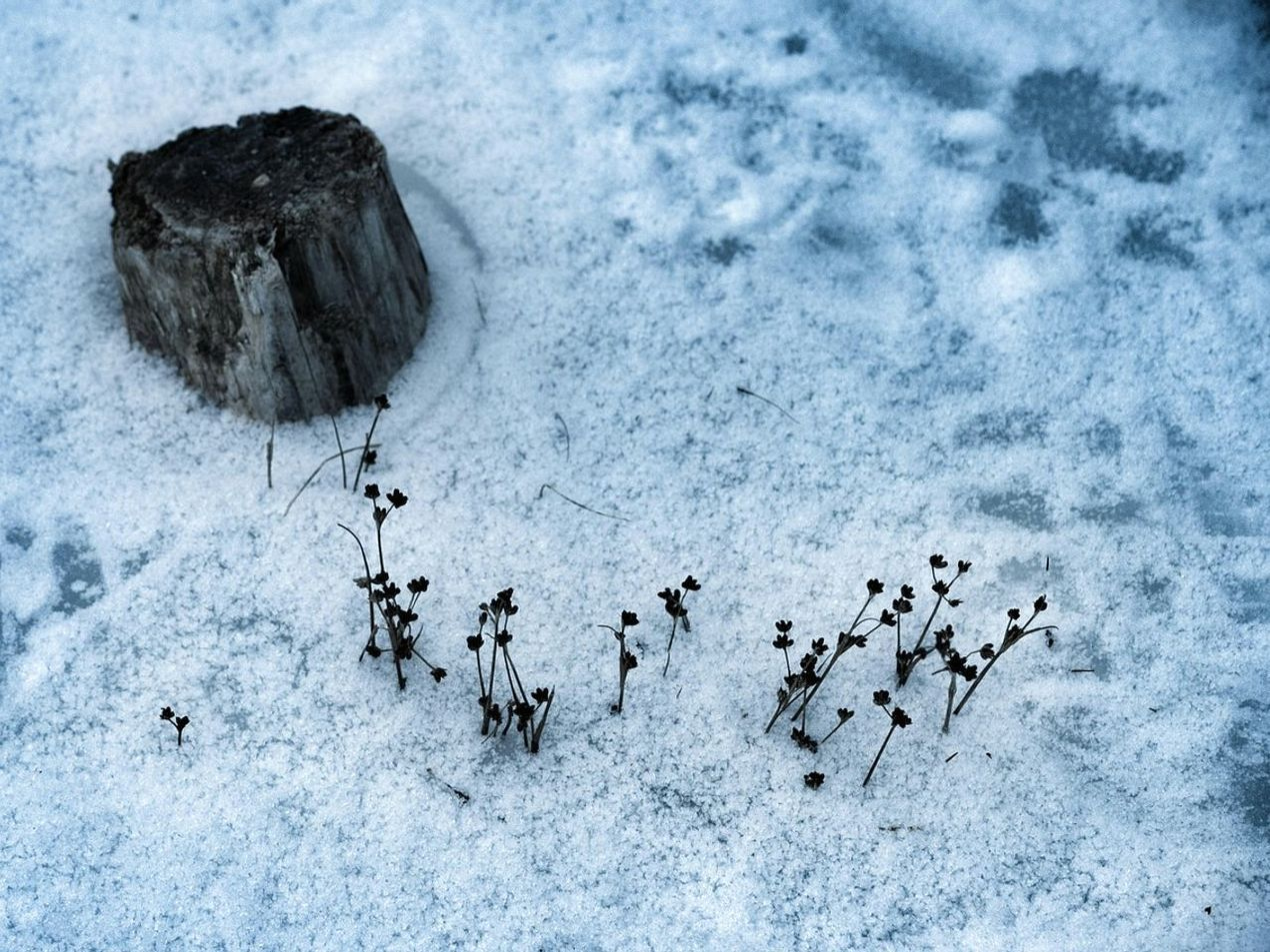 Paisagem aberta de altitude e picos distantes para pesca de inverno